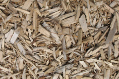 biomass boilers Belle Vue
